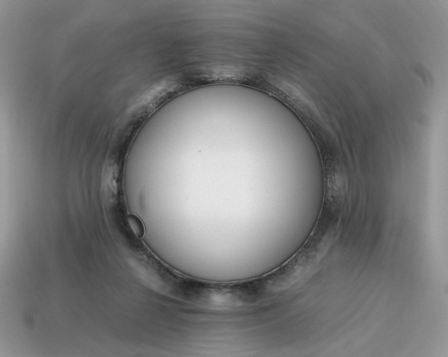 X0000114600264200911091323