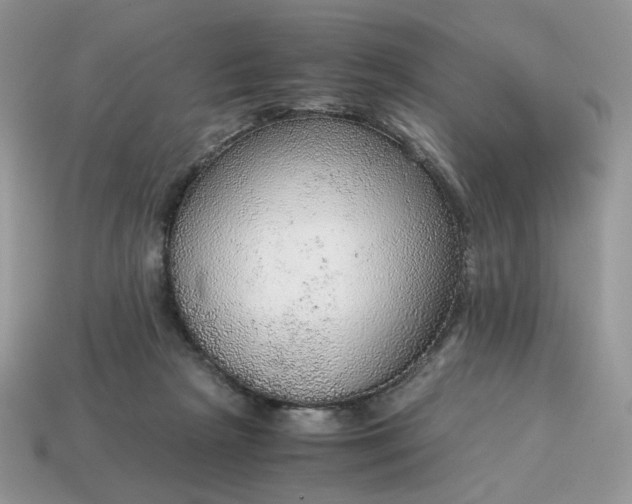 X0000114600265200911091323