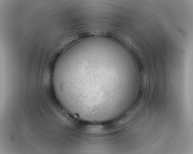 X0000114600266200911091323