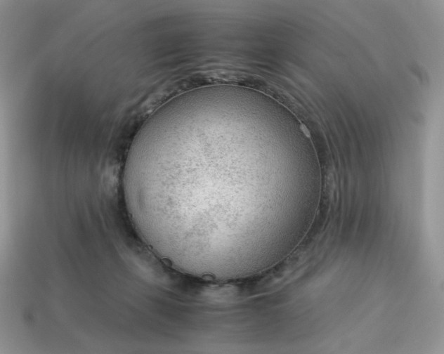 X0000114600271200911091323