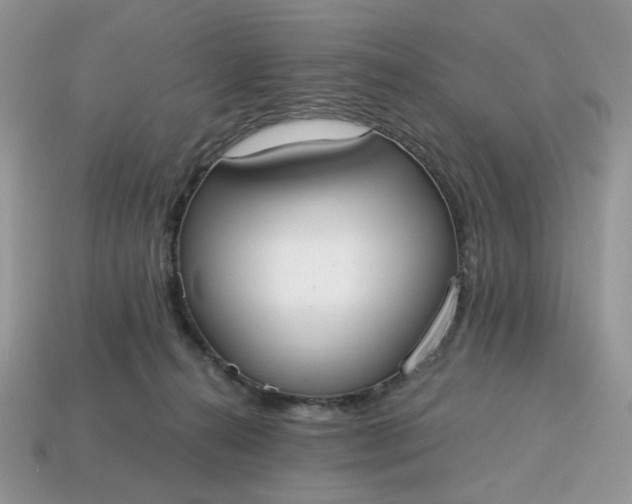 X0000114600272200911091324