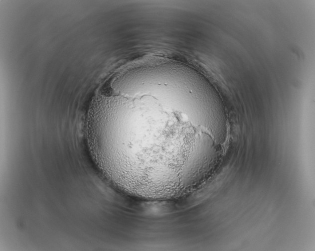 X0000114600273200911091324