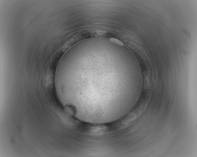 X0000114600274200911091324