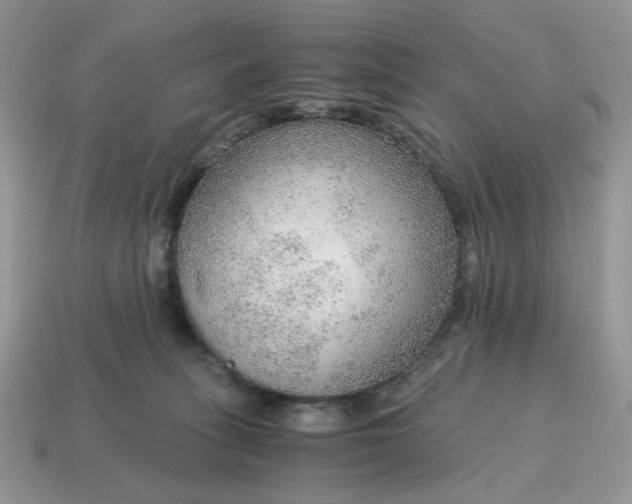 X0000114600275200911091324