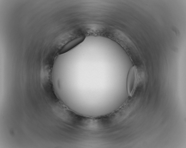 X0000114600276200911091324