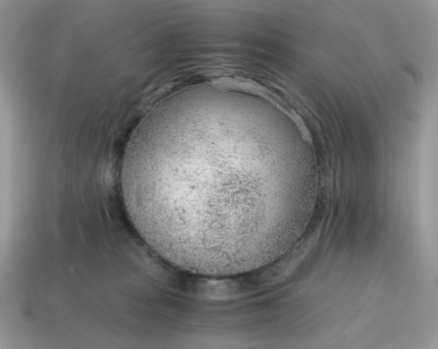 X0000114600277200911091324