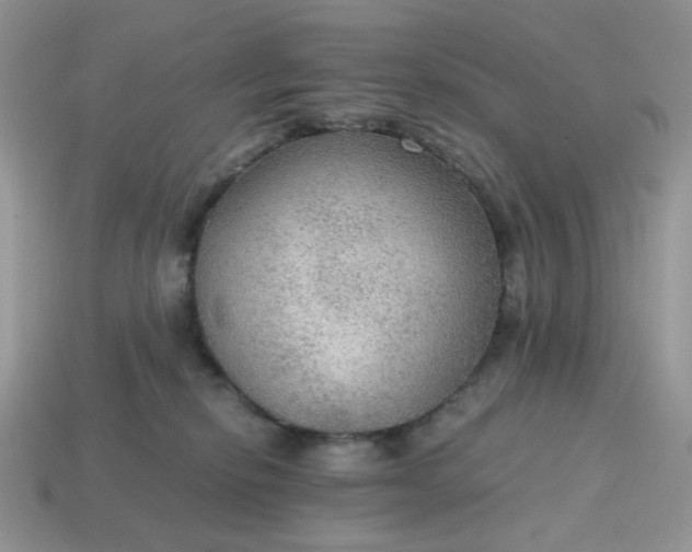 X0000114600278200911091324