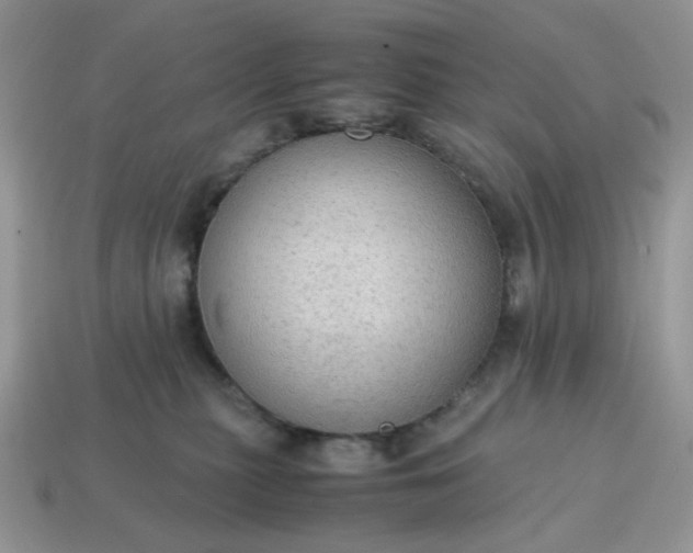 X0000114600279200911091324