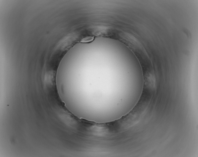 X0000114600280200911091324