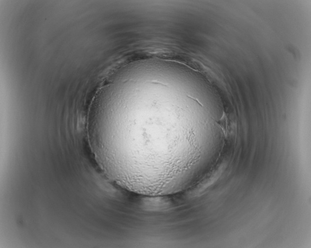 X0000114600281200911091324