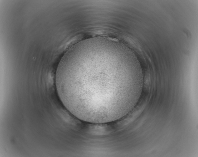 X0000114600282200911091324