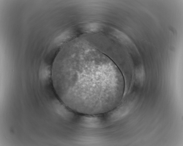 X0000114600284200911091324