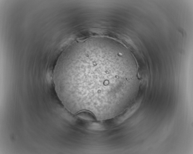 X0000114600285200911091324