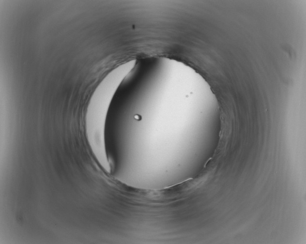 X0000114600288200911091324