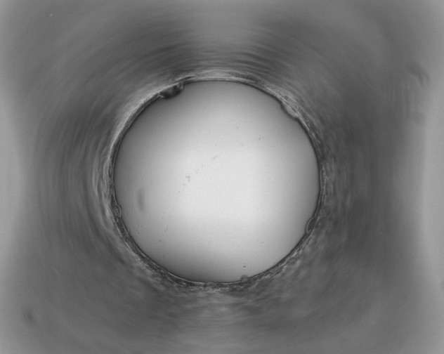 X0000114600289200911091323