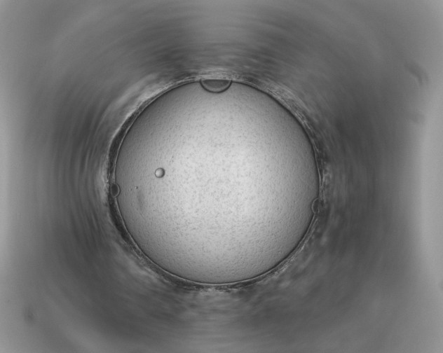 X0000114600290200911091323