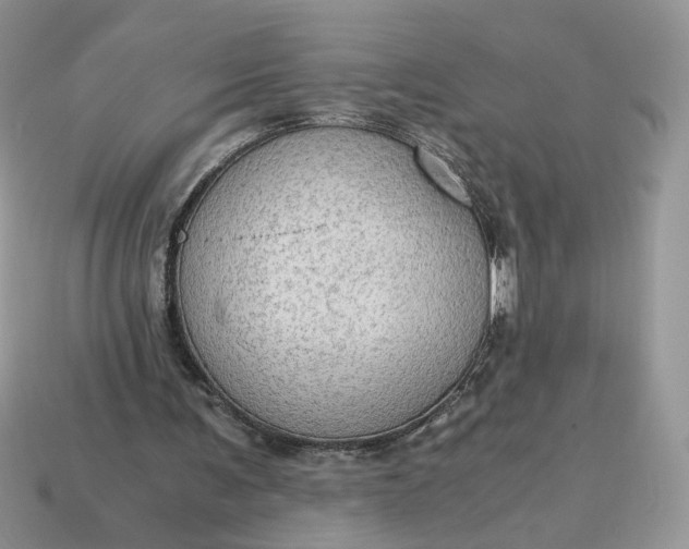 X0000114600291200911091323