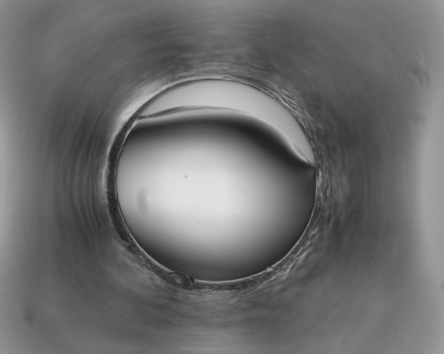 X0000114600292200911091323