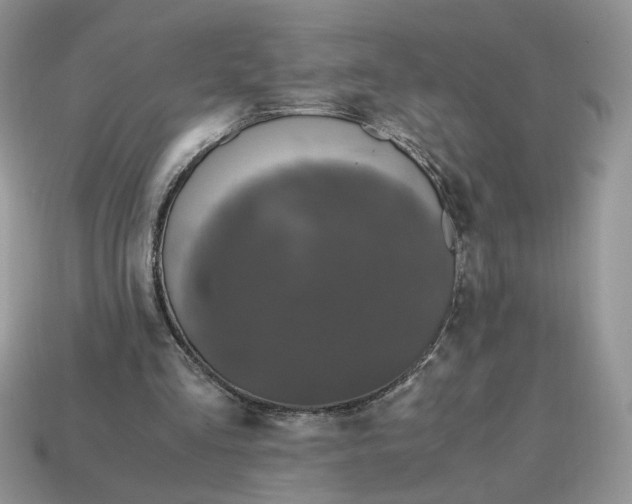 X0000114600293200911091323