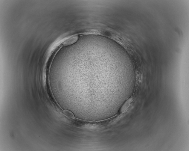 X0000114600294200911091323