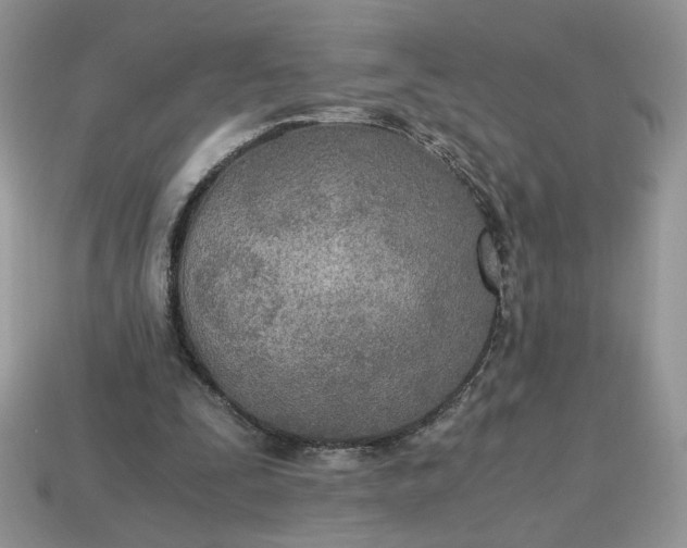 X0000114600295200911091323