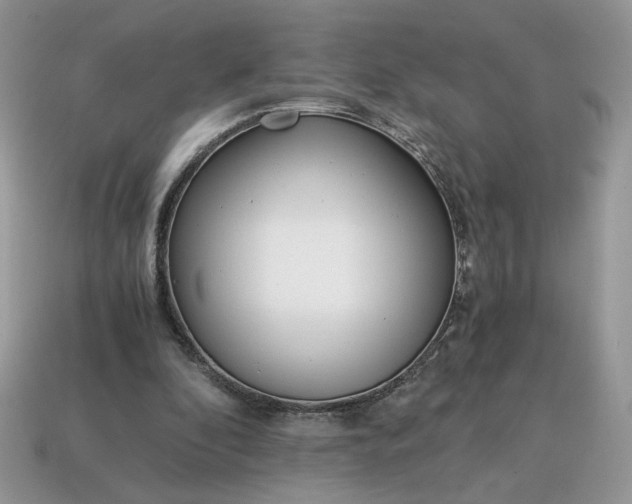 X0000114600296200911091323