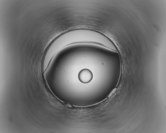 X0000114600297200911091323