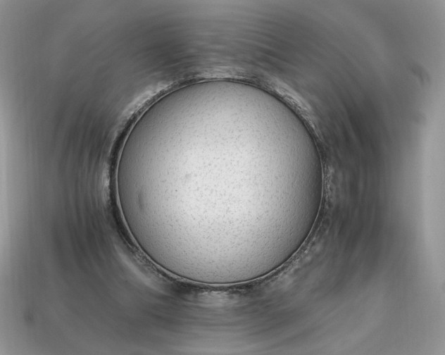 X0000114600298200911091323