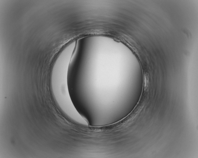 X0000114600301200911091323