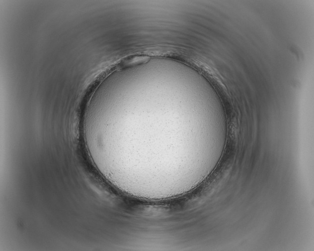 X0000114600303200911091323