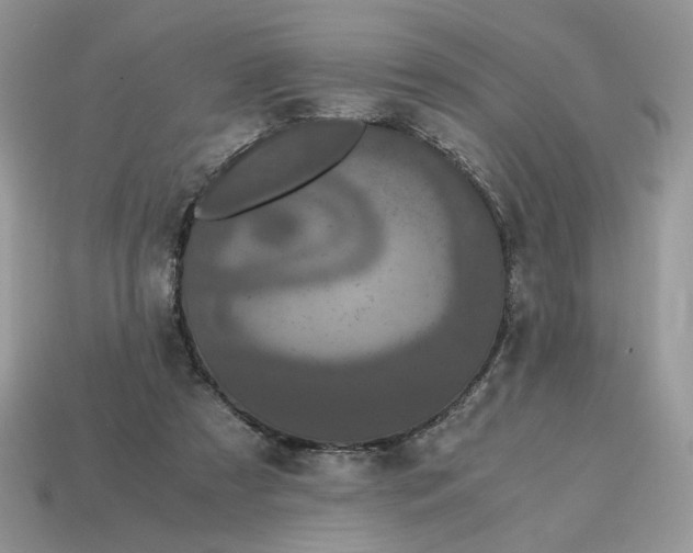 X0000114600305200911091323