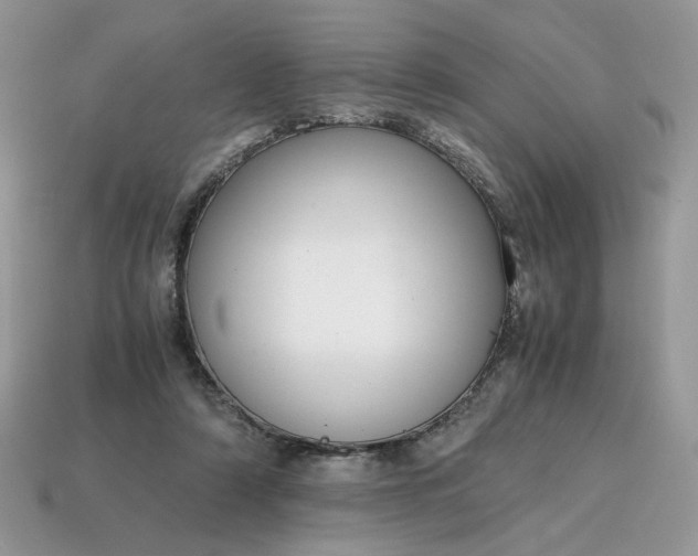 X0000114600306200911091323