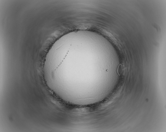 X0000114600307200911091323