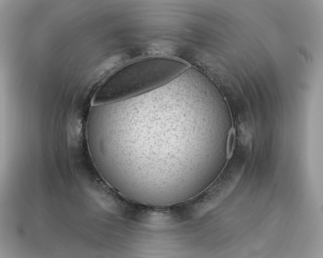 X0000114600308200911091323