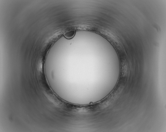 X0000114600310200911091323