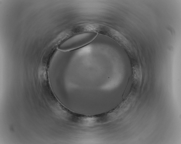 X0000114600313200911091323