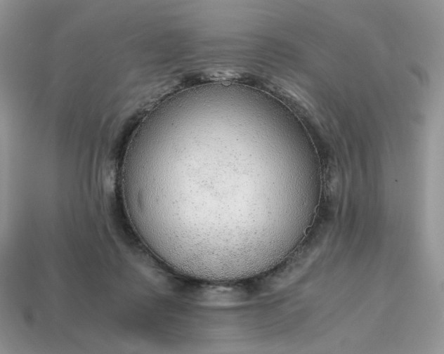 X0000114600315200911091323