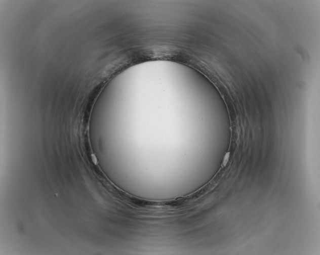 X0000114600316200911091323