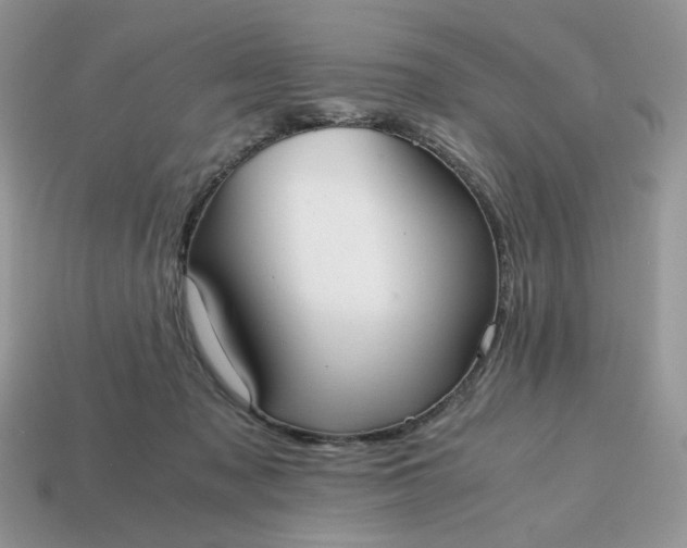 X0000114600317200911091323