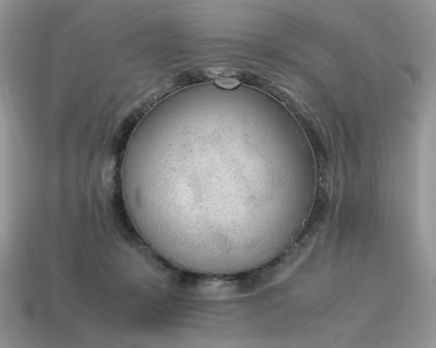 X0000114600319200911091323