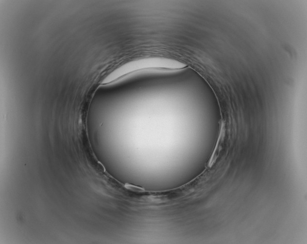 X0000114600320200911091323