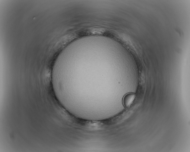 X0000114600321200911091323