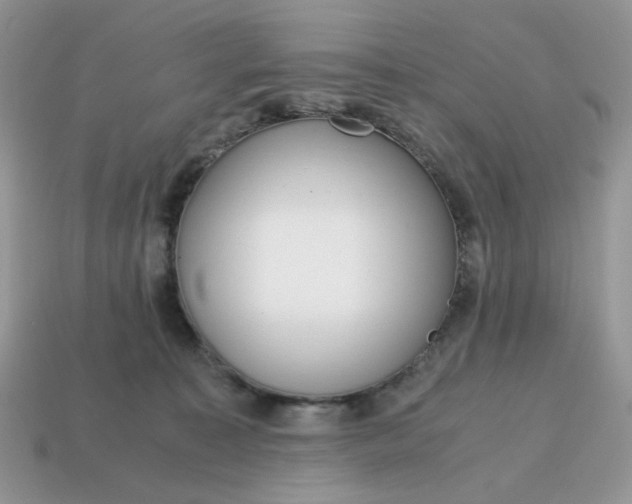 X0000114600323200911091323