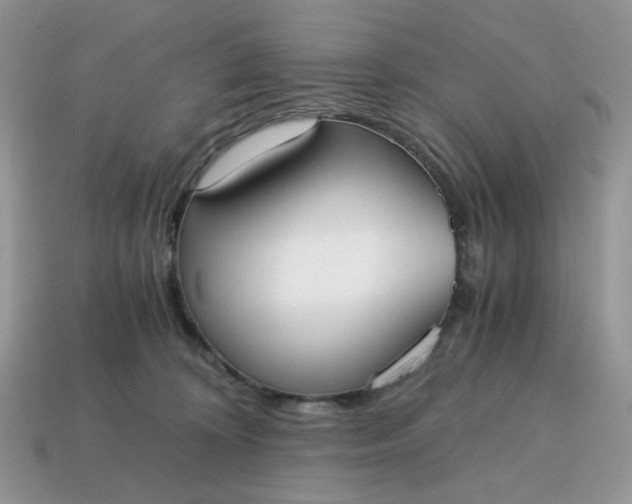 X0000114600324200911091323