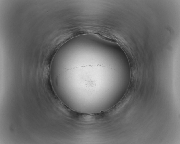 X0000114600325200911091323