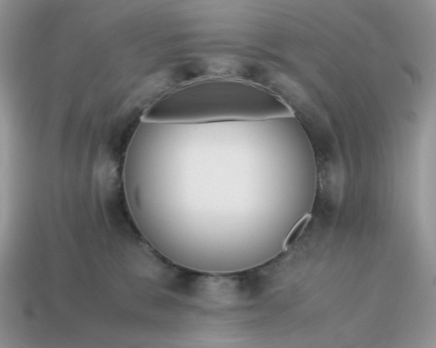 X0000114600327200911091323