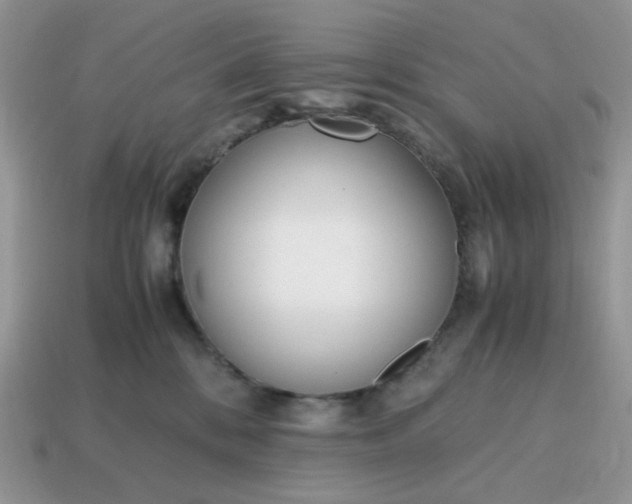 X0000114600328200911091323