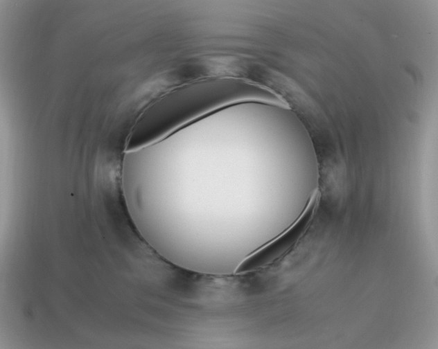 X0000114600329200911091323