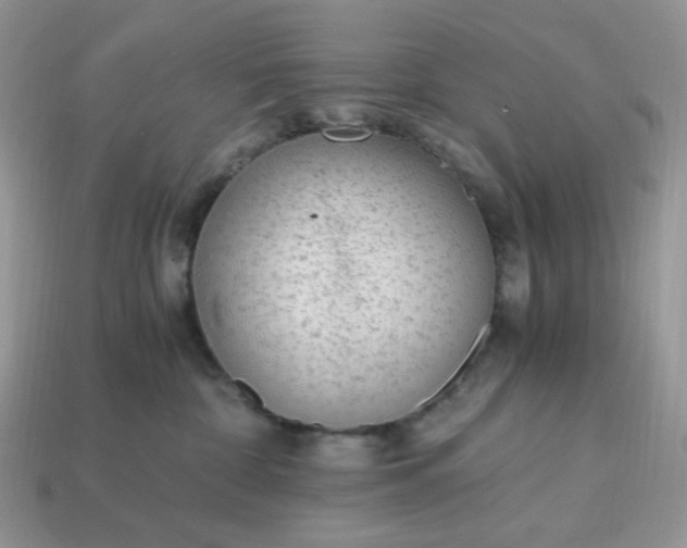 X0000114600332200911091323