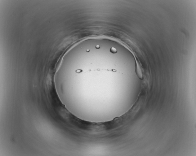 X0000114600333200911091323